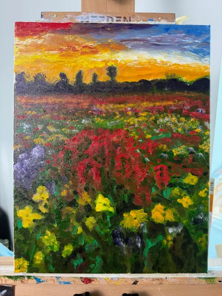 Field of Colors
