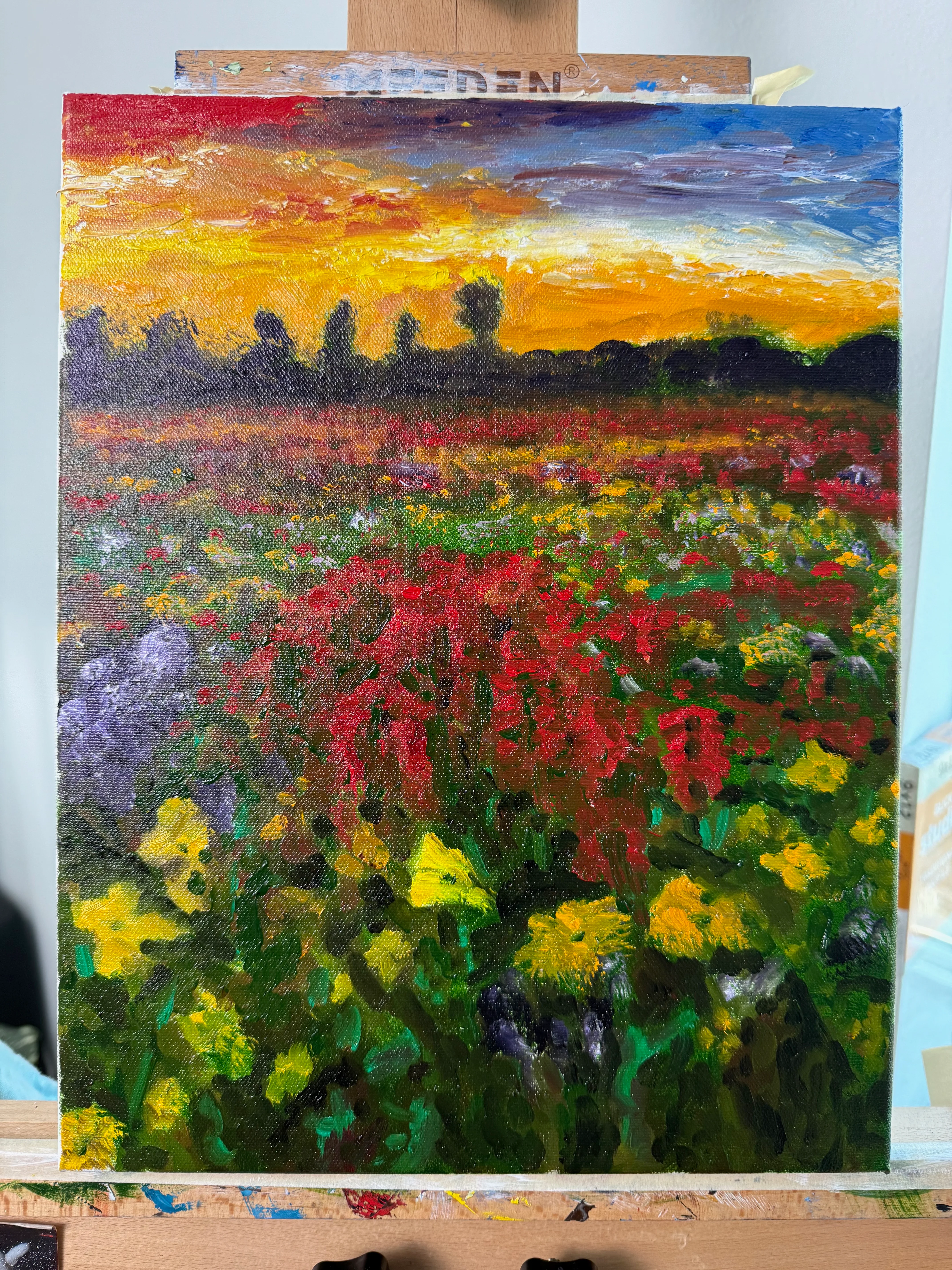 Field of Colors