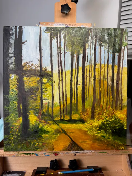 Morning through the Trees